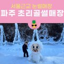 초리상회 | 서울근교 파주 초리골 눈썰매장 비용, 빙어체험, 내돈내산 체험 후기