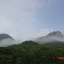 구봉중 입구 이미지