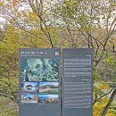 동부2리 | 5. 울주 천전리 명문과 암각화(2025.11.13)