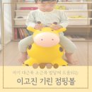 (주)알앤엘애니멀헬스 | 이고진 점핑볼로 아기 대근육 발달과 균형감각 키우기 : 안전한 아이 장난감 추천