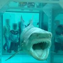 아시아계기 - 중구 국제시장2길 9 | 미술전시회추천 거장 데미안허스트(Damien Hirst)의 미쳐버린 아시아 최초 개인전 솔직 후기