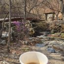 대운산 자연휴양림 캠핑장 | 부산근교 양산 도심속 캠핑장 추천 대운산자연휴양림