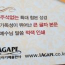 (주)고집쟁이녀석들
