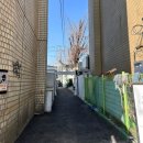 도림로139길 | [맛집리뷰] 문래 맛집 또간집 출연 칼리프하우스 내돈내산 후기 | 파스타 추천