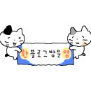 (주)마트킹안녕 이미지