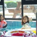 제제펜션 이미지