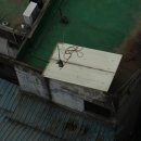 경기도 수원시 팔달구 매산로 이미지