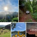 산성식품 이미지