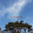 구례전원공인중개사사무소 이미지