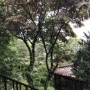 백봉갈비 이미지