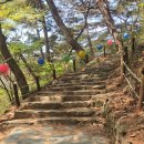 일락사 | 서산 개심사, 겹벚꽃과 청벚꽃이 빚어낸 봄의 마법 (방문 후기)