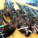 거성수산 이미지