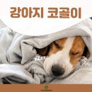 미사동물병원 이미지