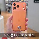 아이폰17 프로 자급제 색상 맥스 크기 실물 후기 실물 추천 이유