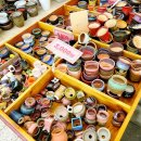 다육꽃세상 | 다육이 대형 매장! '강화도 큰다육' 방문 후기