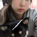 네이처메디 | 핵사메딘 가글 목감기 소독약 구내염 후기