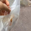 와플대학일산후곡캠퍼스