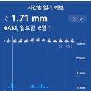 그린월드 이미지