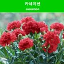 연진화분