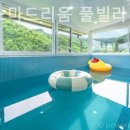 노마드리움 | 산유리 풀빌라 가평 노마드리움 풀빌라 펜션 사진 찍기 좋은 곳