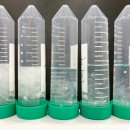 로바니코 이미지