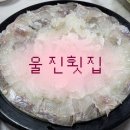 갈매기회센타 이미지