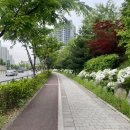 아주 멀리까지 가보고 싶어