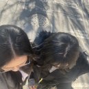 야미야미 이미지