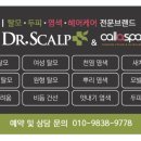닥터스칼프제주점 네이버블로그