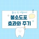 상아 치과의원 | 불소도포 효과 얼마나 오래 갈까요? 충치 예방을 위한 권장 주기 | 송파구 거여동 밝은하루치과