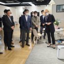 디자인혼 이미지