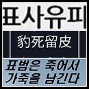 표사유피 (豹死留皮) 이미지