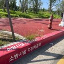 주정차11 이미지