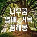 꿈과나무 이미지