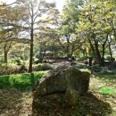 들가운데농장 이미지