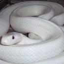 예:쁘다 이미지