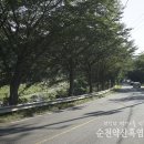 낙안 흑염소 이미지