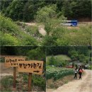 알프스염소 이미지
