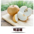 순흥여관 | 우리동네이야기 - 묵동(墨洞)