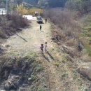 솔염소농장 이미지