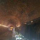 와인조형물 | 청도 와인터널 다녀온 솔직 후기｜감성 가득한 와인 동굴 여행