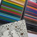 줌 안에서 인지예방 스트레칭 | 컬러링북으로 치매예방!｜집에서 시작하는 두뇌 활성 루틴 리뷰