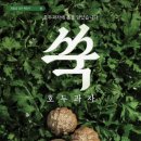 을지어린이집 | 경복궁호두과자 가성비 답례품 추천 복호두 경복궁역점 방문 솔직 후기