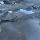 해 질 녘 클래식 산책 | 제주 서귀포시 성산읍 제주여행의 클래식 해질녘에 다녀온 후기와 장단점 성산일출봉 뷰포인트 꿀팁까지