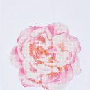 [보석십자수] 케이엠엘리 - 핑크 로즈 * 30X40cm