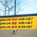 아리점핑체온다이어트