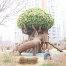 김민선공인중개사사무소 이미지