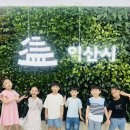 🎈 웃음꽃이 활짝 핀 이번 주 이야기 이미지