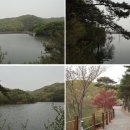 천장호 출렁다리 이미지