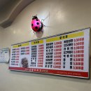 김밥이야기 이미지